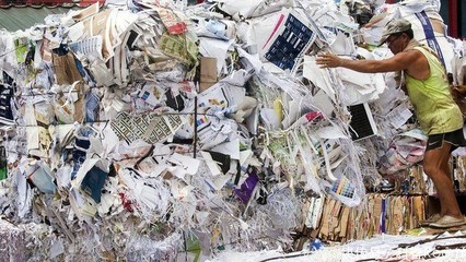 洋垃圾回收日入3萬？大連查獲195噸扇貝殼，拒收4年為何屢禁不止